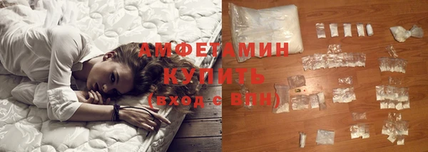 индика Пересвет