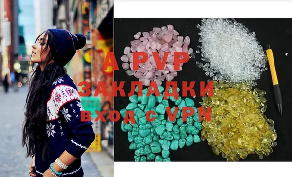 индика Пересвет