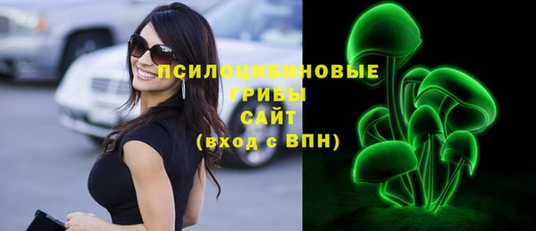индика Пересвет