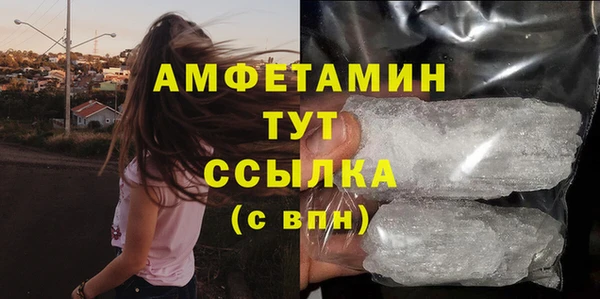 индика Пересвет