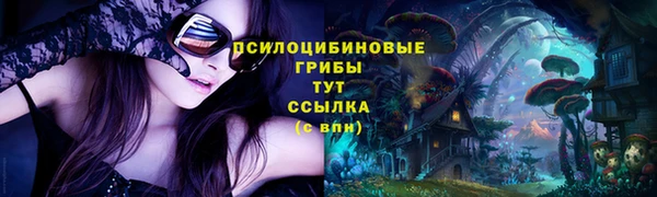 прущая мука Осташков