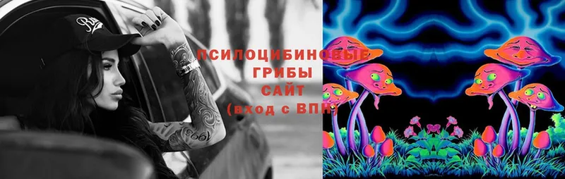 Псилоцибиновые грибы Magic Shrooms  площадка наркотические препараты  Артёмовск  продажа наркотиков  кракен зеркало 