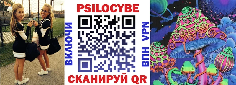 Псилоцибиновые грибы Cubensis  Артёмовск 